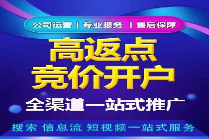 案例研究：SEM竞价托管效果对比
